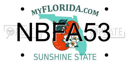 NBFA53 Florida License Plate