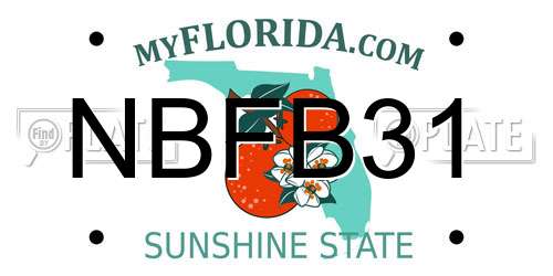 NBFB31 Florida License Plate