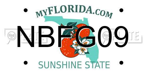 NBFG09 Florida License Plate