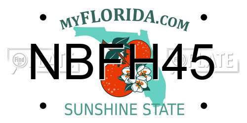 NBFH45 Florida License Plate