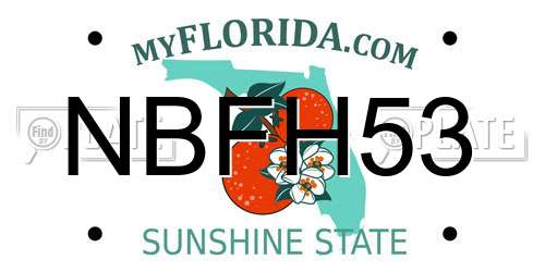 NBFH53 Florida License Plate