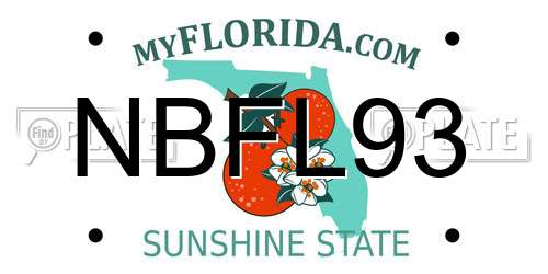 NBFL93 Florida License Plate