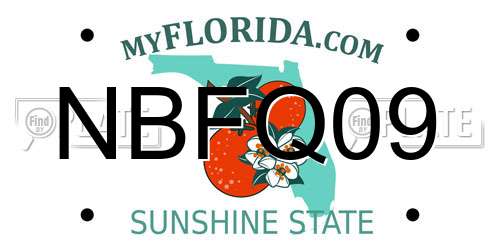 NBFQ09 Florida License Plate