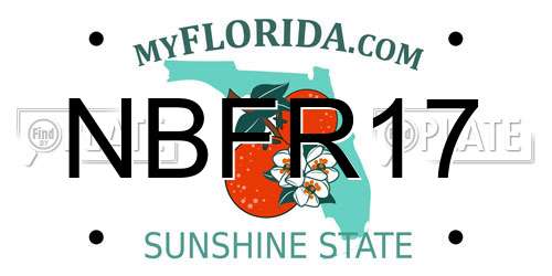 NBFR17 Florida License Plate
