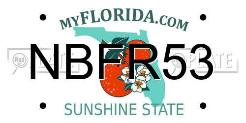 NBFR53 Florida License Plate