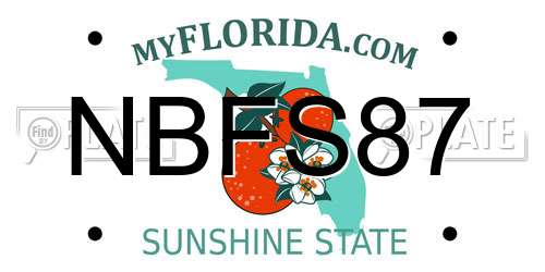 NBFS87 Florida License Plate