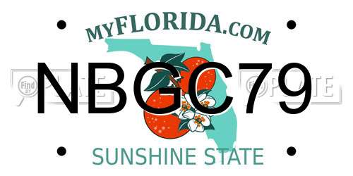 NBGC79 Florida License Plate