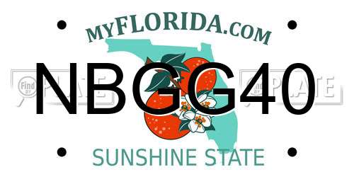 NBGG40 Florida License Plate