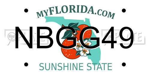 NBGG49 Florida License Plate