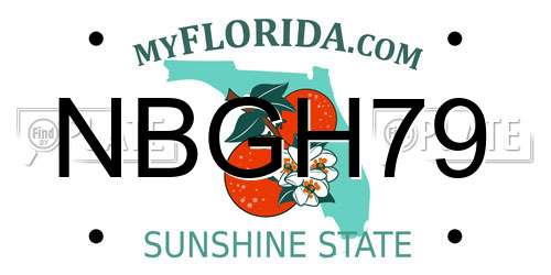 NBGH79 Florida License Plate