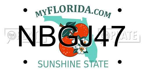 NBGJ47 Florida License Plate