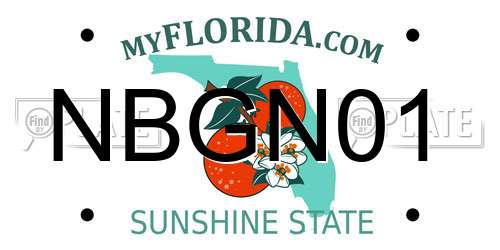 NBGN01 Florida License Plate