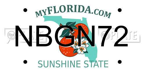 NBGN72 Florida License Plate