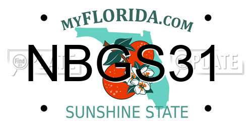 NBGS31 Florida License Plate