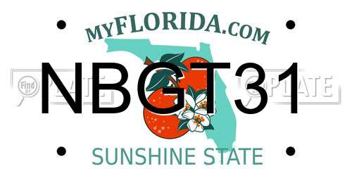 NBGT31 Florida License Plate