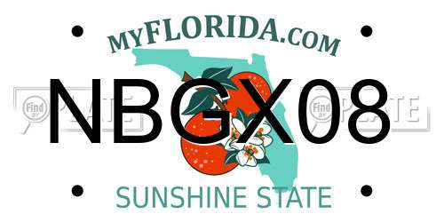NBGX08 Florida License Plate