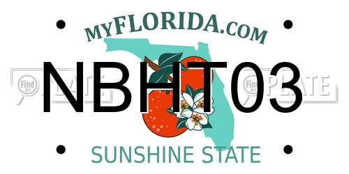 NBHT03 Florida License Plate
