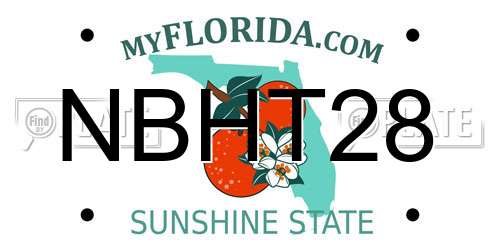 NBHT28 Florida License Plate