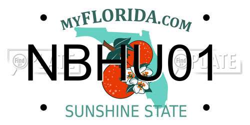 NBHU01 Florida License Plate