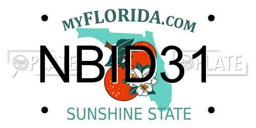 NBID31 Florida License Plate