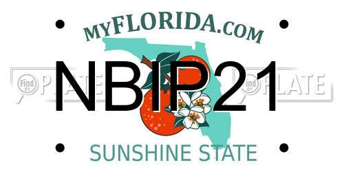 NBIP21 Florida License Plate