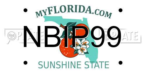 NBIP99 Florida License Plate