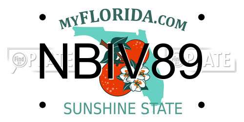 NBIV89 Florida License Plate