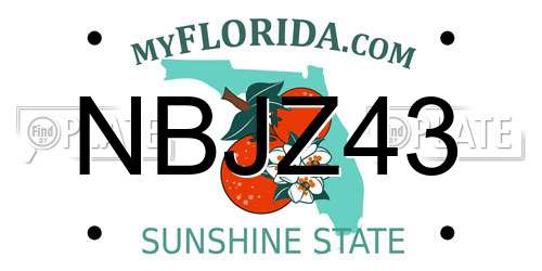 NBJZ43 Florida License Plate