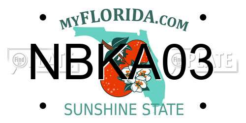 NBKA03 Florida License Plate