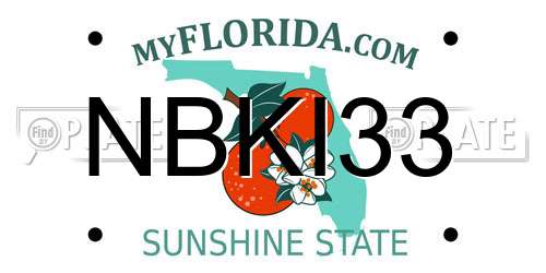 NBKI33 Florida License Plate