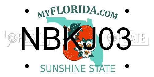 NBKJ03 Florida License Plate