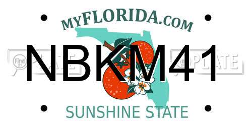 NBKM41 Florida License Plate