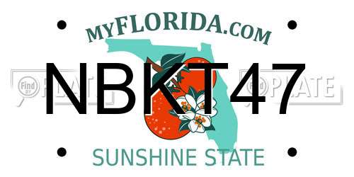 NBKT47 Florida License Plate