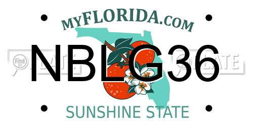 NBLG36 Florida License Plate