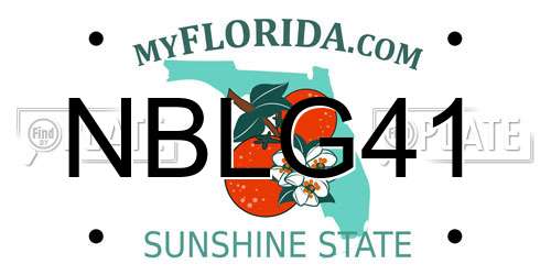 NBLG41 Florida License Plate