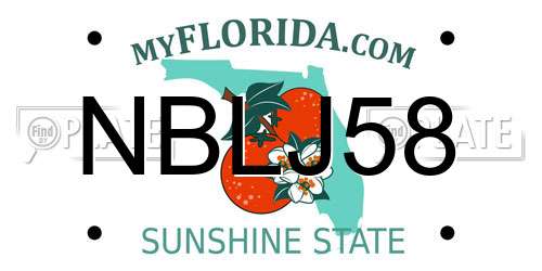 NBLJ58 Florida License Plate