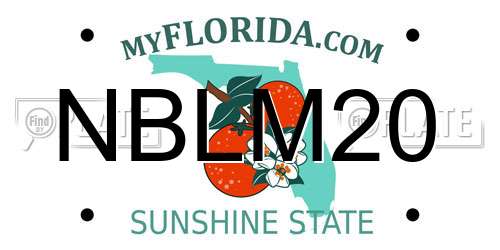 NBLM20 Florida License Plate