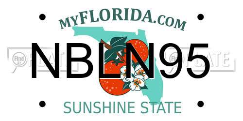 NBLN95 Florida License Plate