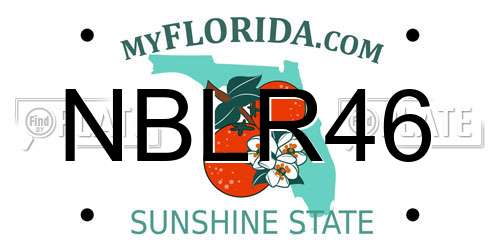 NBLR46 Florida License Plate