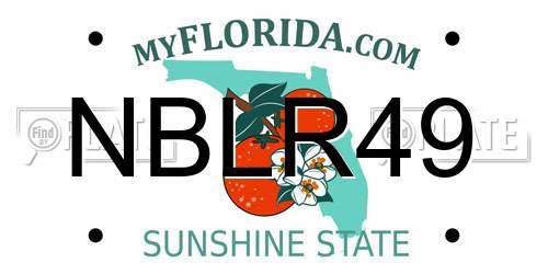 NBLR49 Florida License Plate