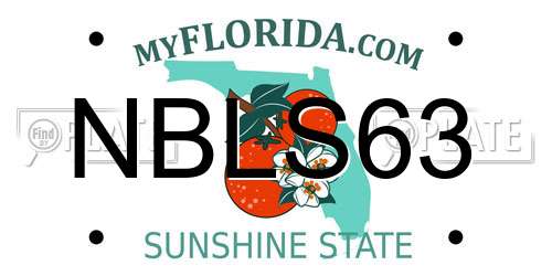 NBLS63 Florida License Plate