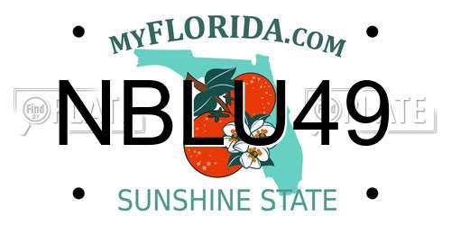 NBLU49 Florida License Plate