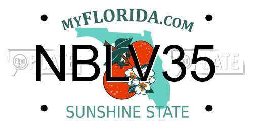 NBLV35 Florida License Plate