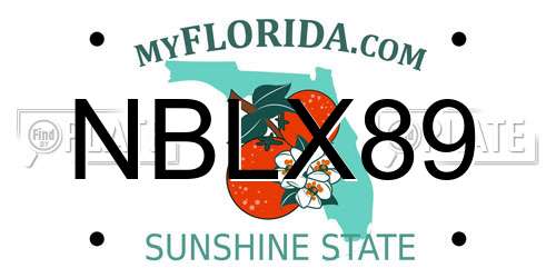NBLX89 Florida License Plate