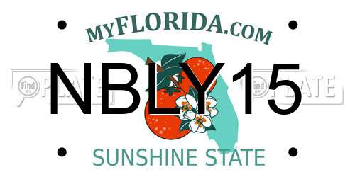 NBLY15 Florida License Plate