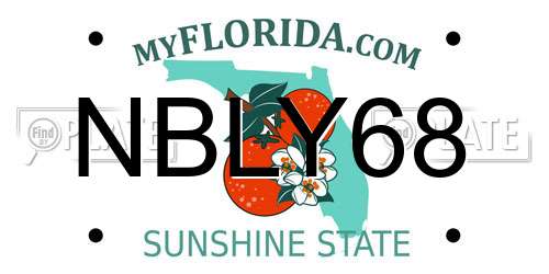 NBLY68 Florida License Plate
