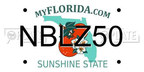 NBLZ50 Florida License Plate