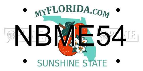 NBME54 Florida License Plate