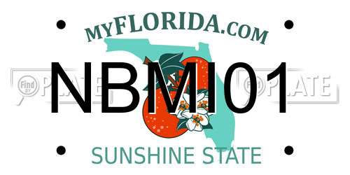 NBMI01 Florida License Plate