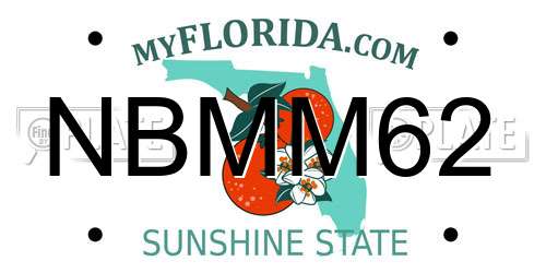 NBMM62 Florida License Plate